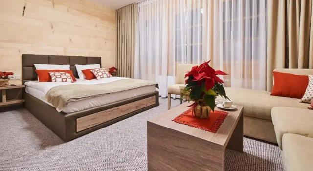 Номер Deluxe Tatrzański Bór Apartamenty