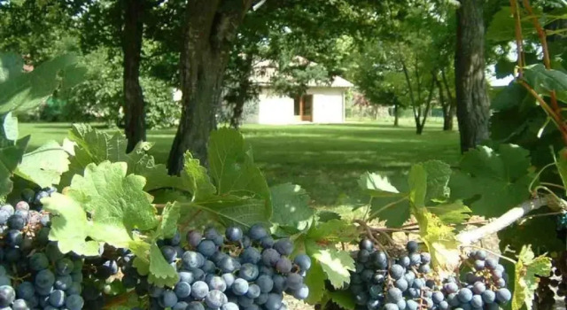 Двухместный номер Standard Domaine Maison Dodo