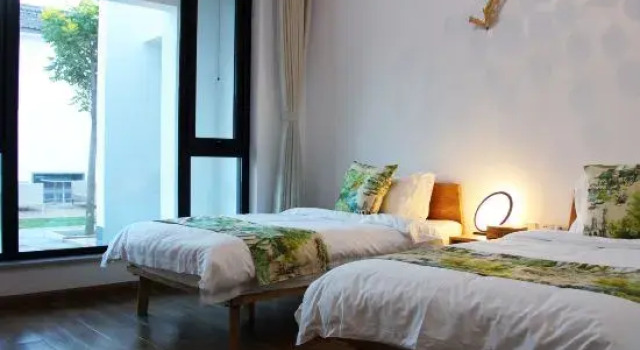 Suite A Tree Hostel