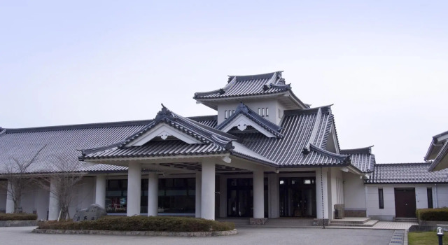 Двухместный номер Standard Castle Manai