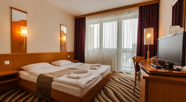 Двухместный номер Standard Premium Hotel Panoráma