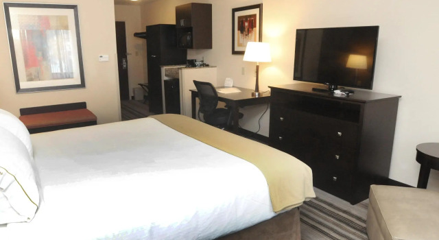 Двухместный люкс Holiday Inn Express & Suites Cambridge by IHG