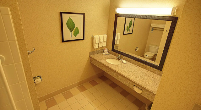 Четырёхместный номер Standard Fairfield Inn & Suites Mount Vernon Rend Lake