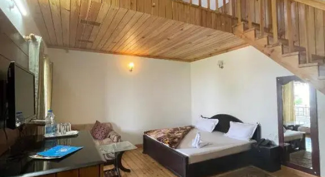 Люкс Shri Shail Inn