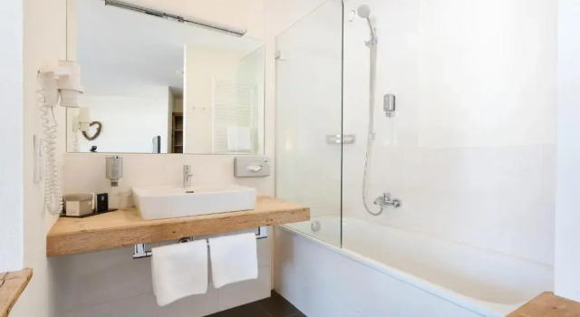 Номер Standard Hotel Saliter Hof