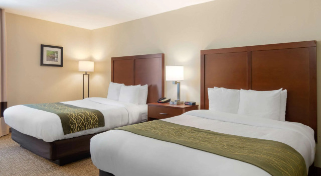 Четырёхместный номер Standard Comfort Inn Douglasville - Atlanta West
