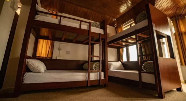 Кровать в общем номере (женский номер) Alt Life - Dharamkot - Hostel