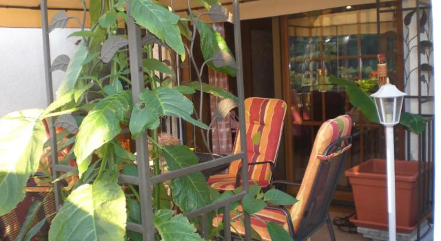 Номер Standard Gästehaus und Ferienwohnung Bächle