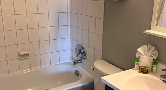 Двухместная студия London Executive Suites Hotel