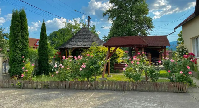 Pensiunea Irina, Rezerwuj Hotel Hotele w Carpathians - Romania z parkingiem, Parking