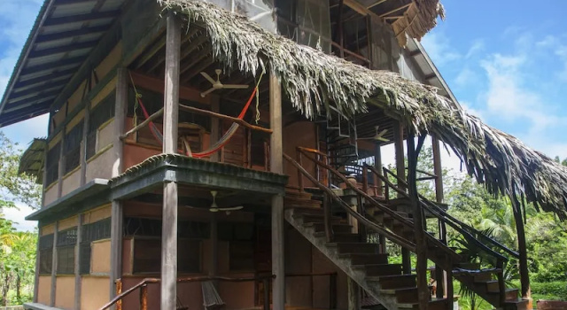 Camera Premium Cotton Tree Lodge