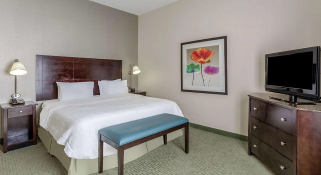 Двухместный номер Standard Hampton Inn Richmond - South