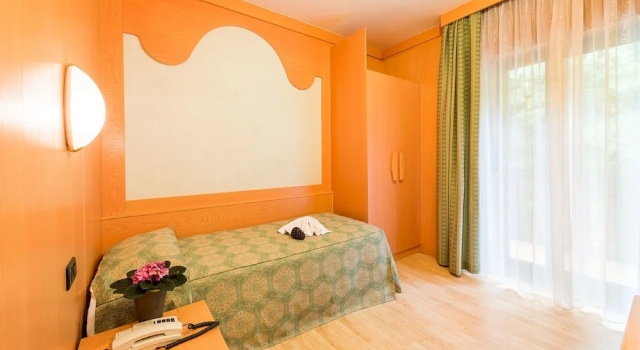 Одноместный номер Standard с балконом Hotel Ariston