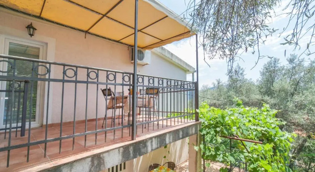 Студия Apartments Midžor