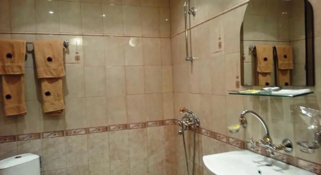 Люкс Family Hotel Silvestar