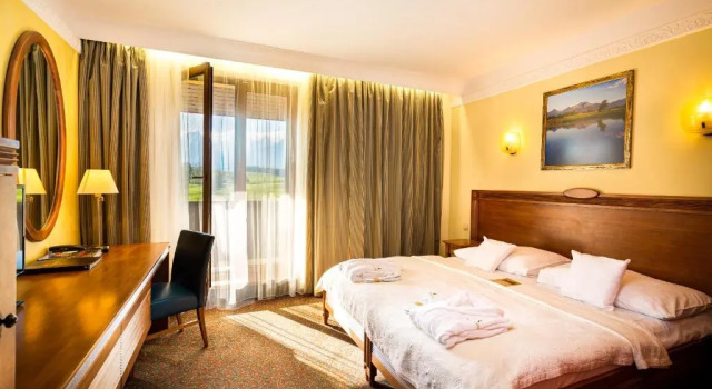 Двухместный номер Standard Hotel International