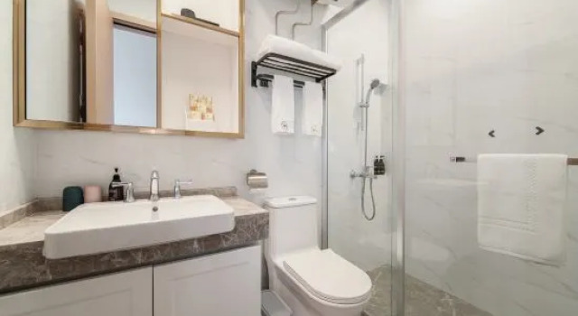 Люкс H Suites Serviced Apartments