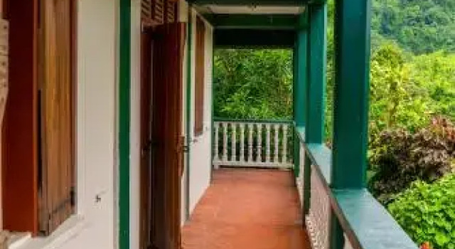 Roxys Mountain Lodge