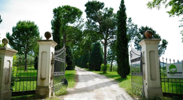 Номер Deluxe Agriturismo al Colle