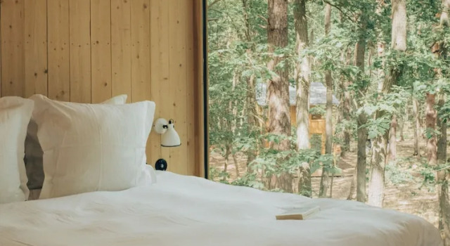 Номер Luxury Youza ecolodge cabanes dans les arbres