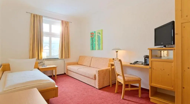 Одноместный номер Standard Hotel-Restaurant Zur Post