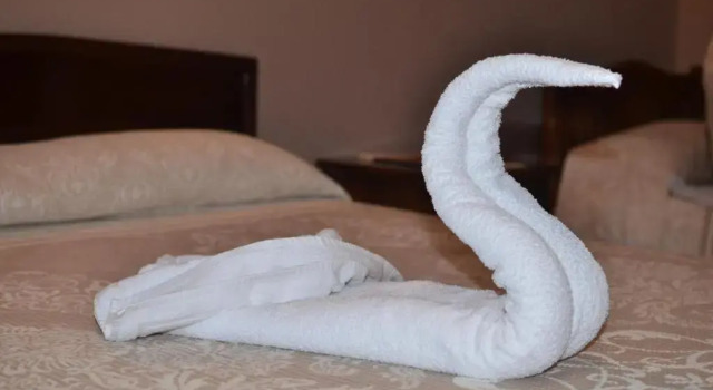 Номер Standard Real Scampis Hotel