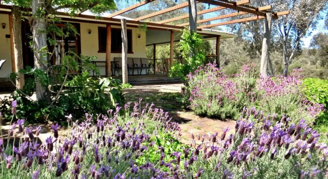 Коттедж с 5 комнатами Capertee National Park Cottages