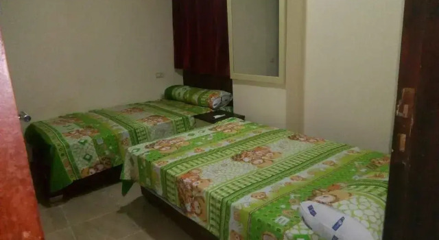 Апартаменты Mousa Apartment