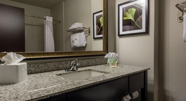 Четырёхместный номер Standard Holiday Inn Austin Airport by IHG