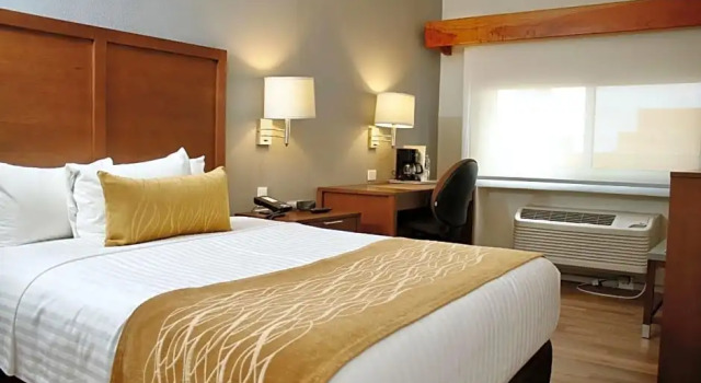 Номер Standard Comfort Inn Monterrey Valle