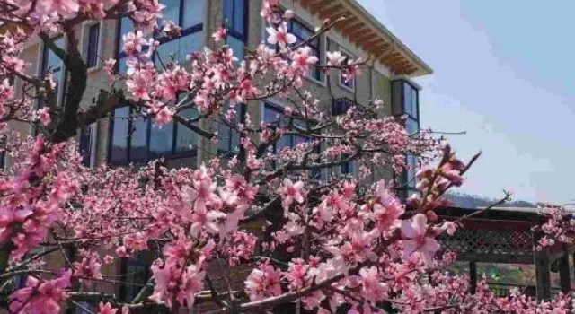 Hutaoling Yunjian Guesthouse, Rezerwuj Hotel Hotele w Hangzhou z basenem, Basen