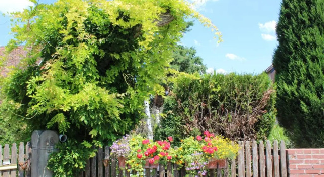 B&B La Tête dans les Etoiles, Book Bed and Breakfast Hotels in Alsace with a Pool, Swimming Pool
