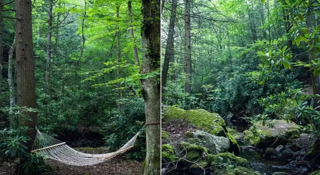 Tentrr - A Creek Runs Through It, Book Hotel Kunkletown Pennsylvania