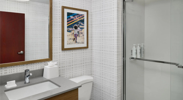 Номер Standard Hampton Inn & Suites Cleveland-Southeast-Streetsboro