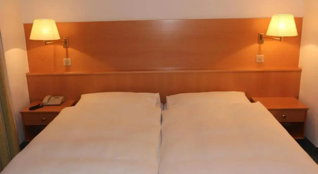 Двухместный номер Economy Hotel Metropol & Spa Zermatt