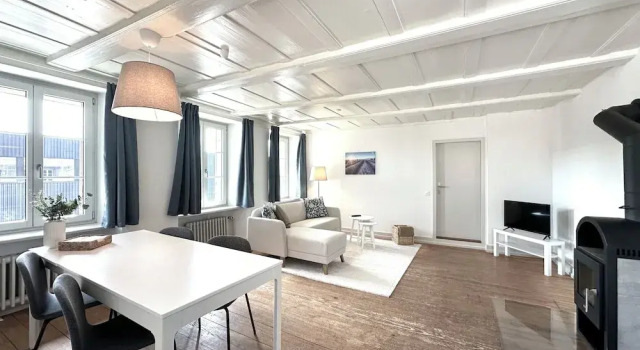Апартаменты Business Business Apartment Oberbipp