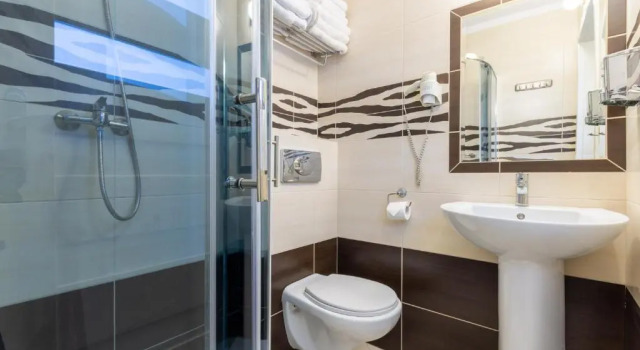 Одноместный номер Standard Hotel Jan