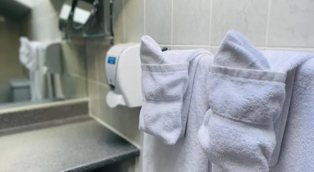 Номер Standard Excelsior Hôtel Spa Sainte-Adèle