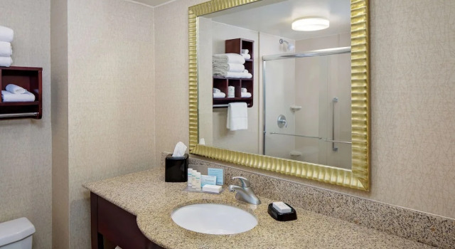 Номер Deluxe Hampton Inn Philadelphia/Willow Grove