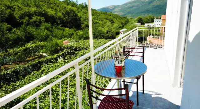 Апартаменты Radonjic Apartments