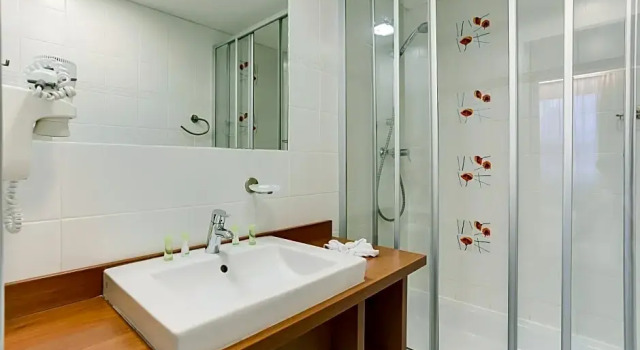 Номер Standard Hotel Janosik