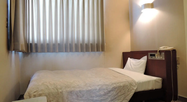 Одноместный номер Standard Business Hotel Sankai