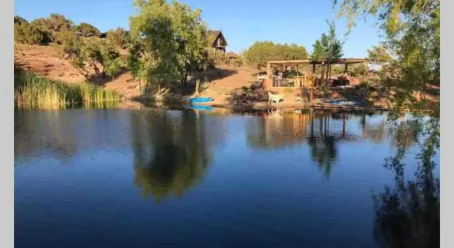 Cabin by the pond (The Funk Starts Here), Prenota Hotel Snowflake Arizona