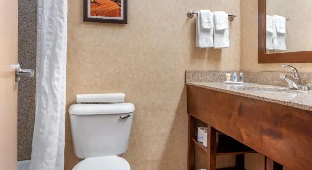 Люкс Comfort Inn at Convention Center