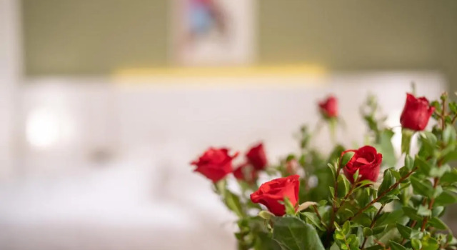 Трёхместный номер Standard Hotel Ibn Khaldoun