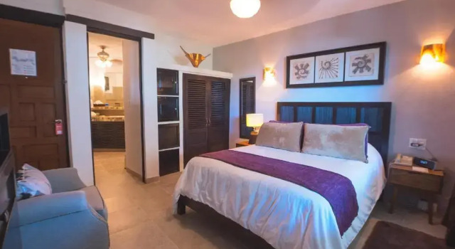Двухместный номер Deluxe Casa Cupula LGBT Luxury Resort
