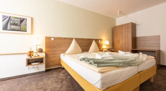 Двухместный номер Standard Hotel Nibelungen Hof