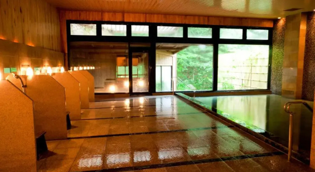 Номер Standard Komagane Kogen Resort Linx