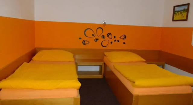 Двухместный номер Standard Hotel Pelikan