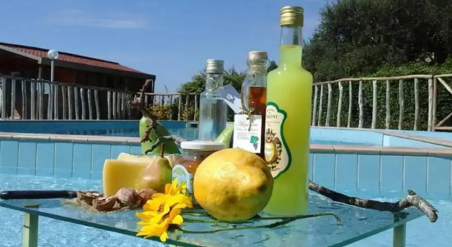 Трёхместный номер Standard с видом на море Agriturismo Castanito